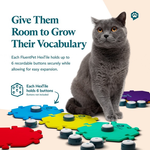 FluentPet Basic Vocab Training Set - Picture 3 of 8